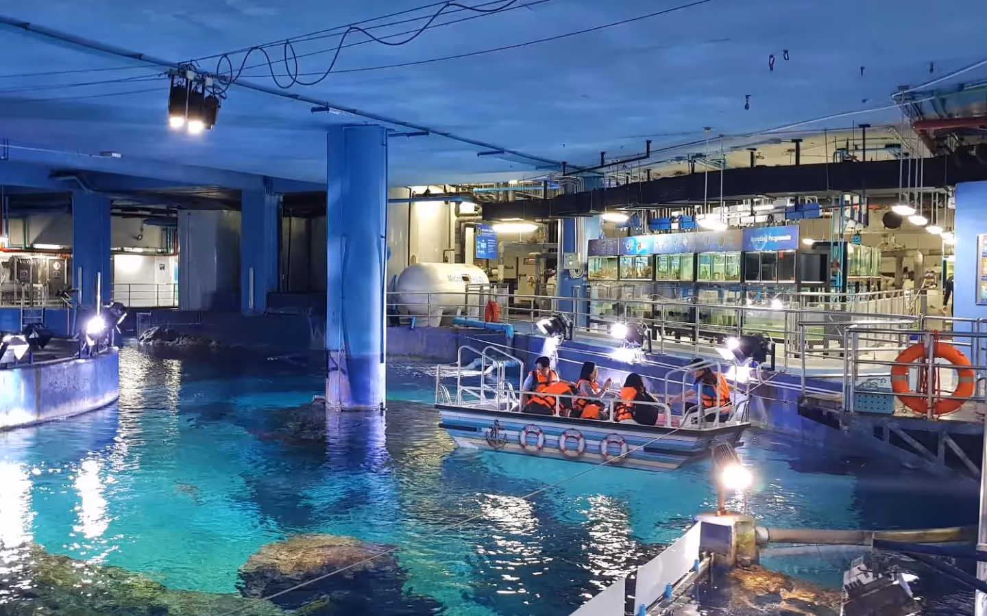 Glass Bottom Boat Ride