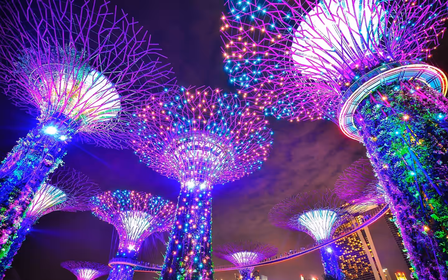 singapore, gardens by the bay, long exposure, marina bay sands, trees, architecture, modern, city life, nightlife, night, asia, lilac city, lilac tree, nature, lilac life, lilac garden, lilac night, lilac gardening, lilac sand