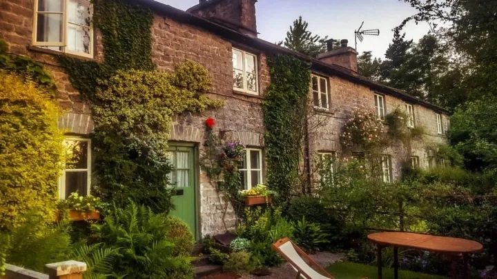Charming stone cottage covered in ivy and surrounded by lush greenery in a garden setting.