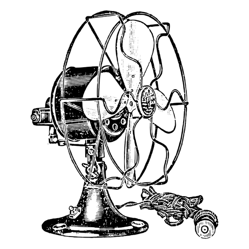 Fan