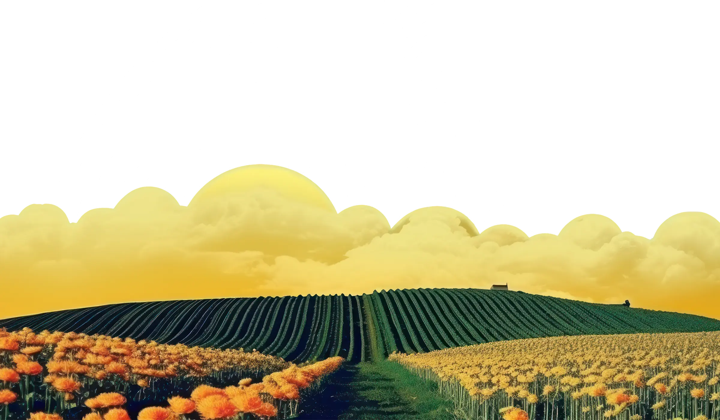 A collage of a rising field meadow against yellow clouds and a circular torus image