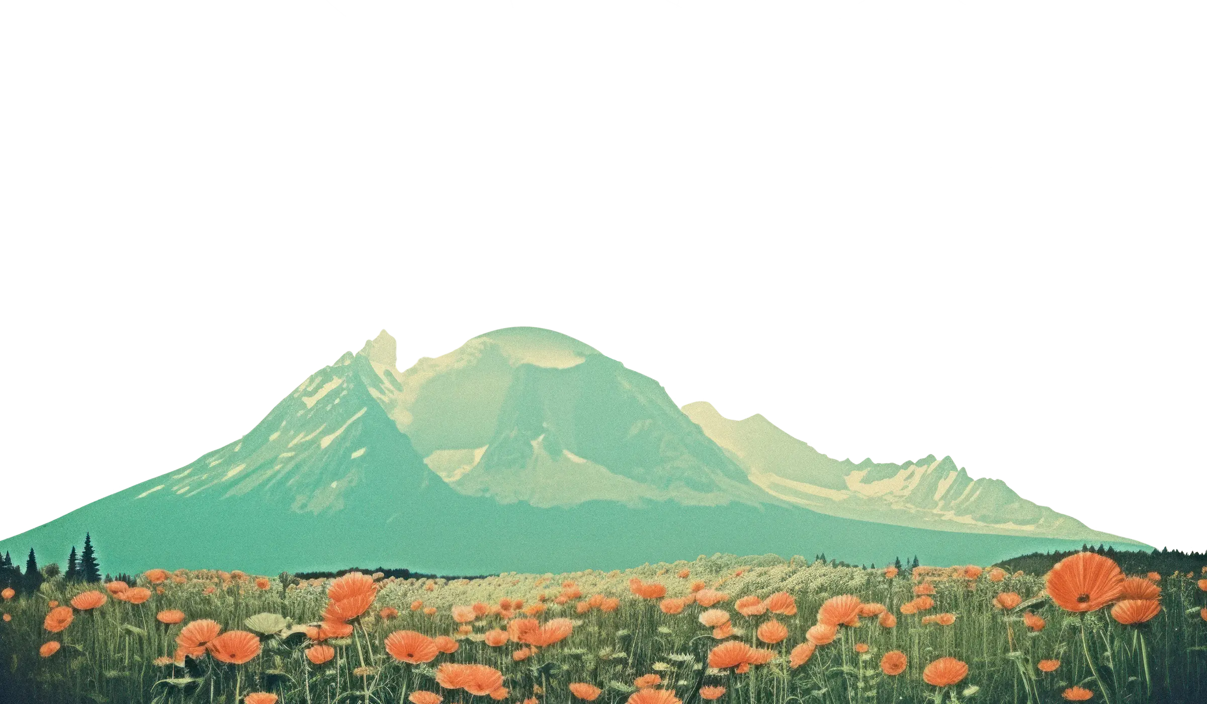 A collage of a green mountain against a field of flowers ahead of a torus sphere