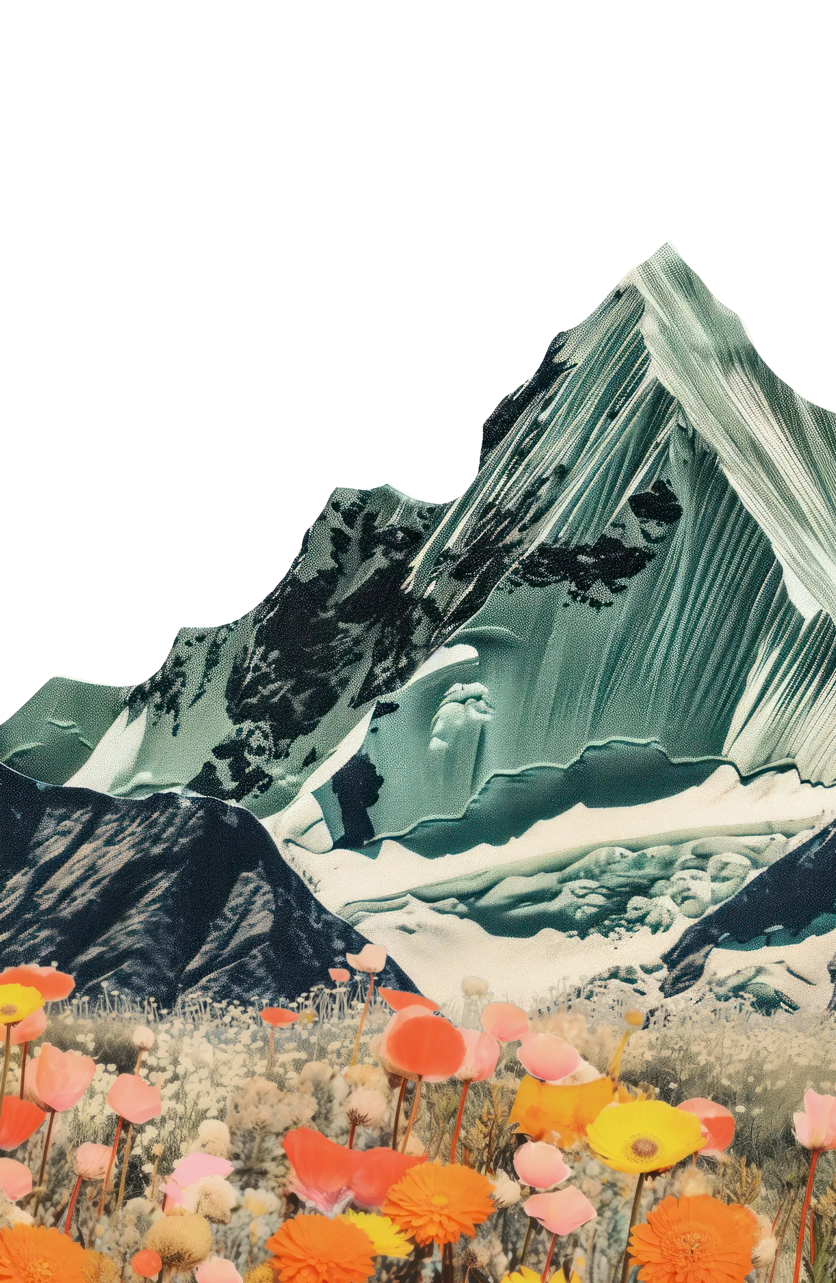 A collage of a rising mountain against a meadow of rising flowers