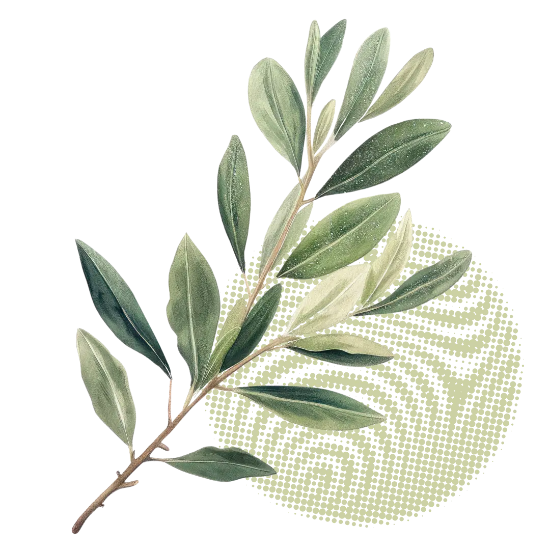 A sage leaf branch tucked over a halftone circle