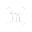 Social Icon