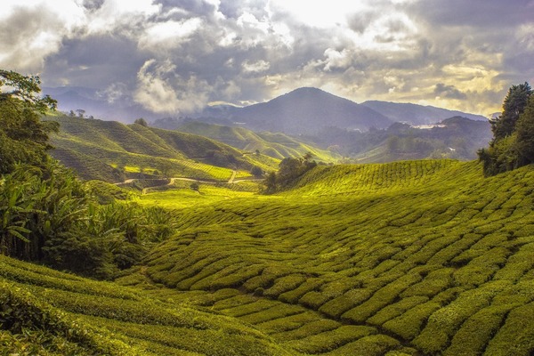 Sri Lanka