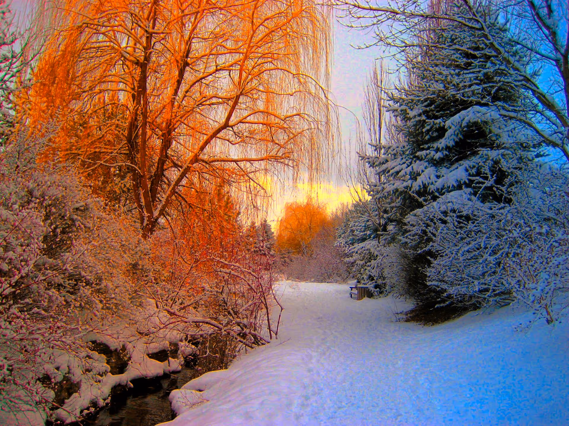 Winter season landscape