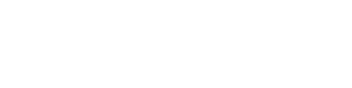 Injury Experts