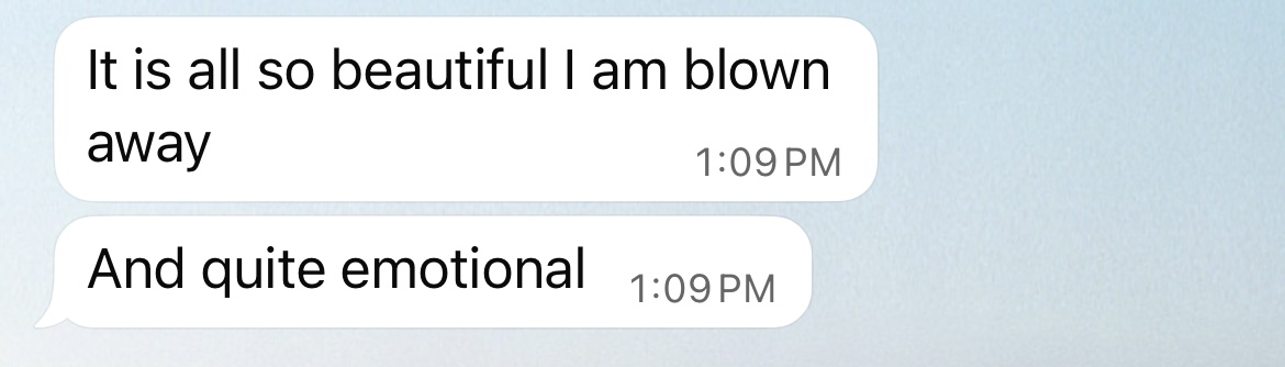 Two consecutive text message bubbles displayed against a light blue background. The first message reads 'It is all so beautiful I am blown away' and the second reads 'And quite emotional'.