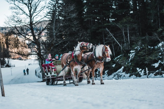 Family enjoying a scenic horse-drawn sleigh ride through a snowy winter landscape surrounded by trees.