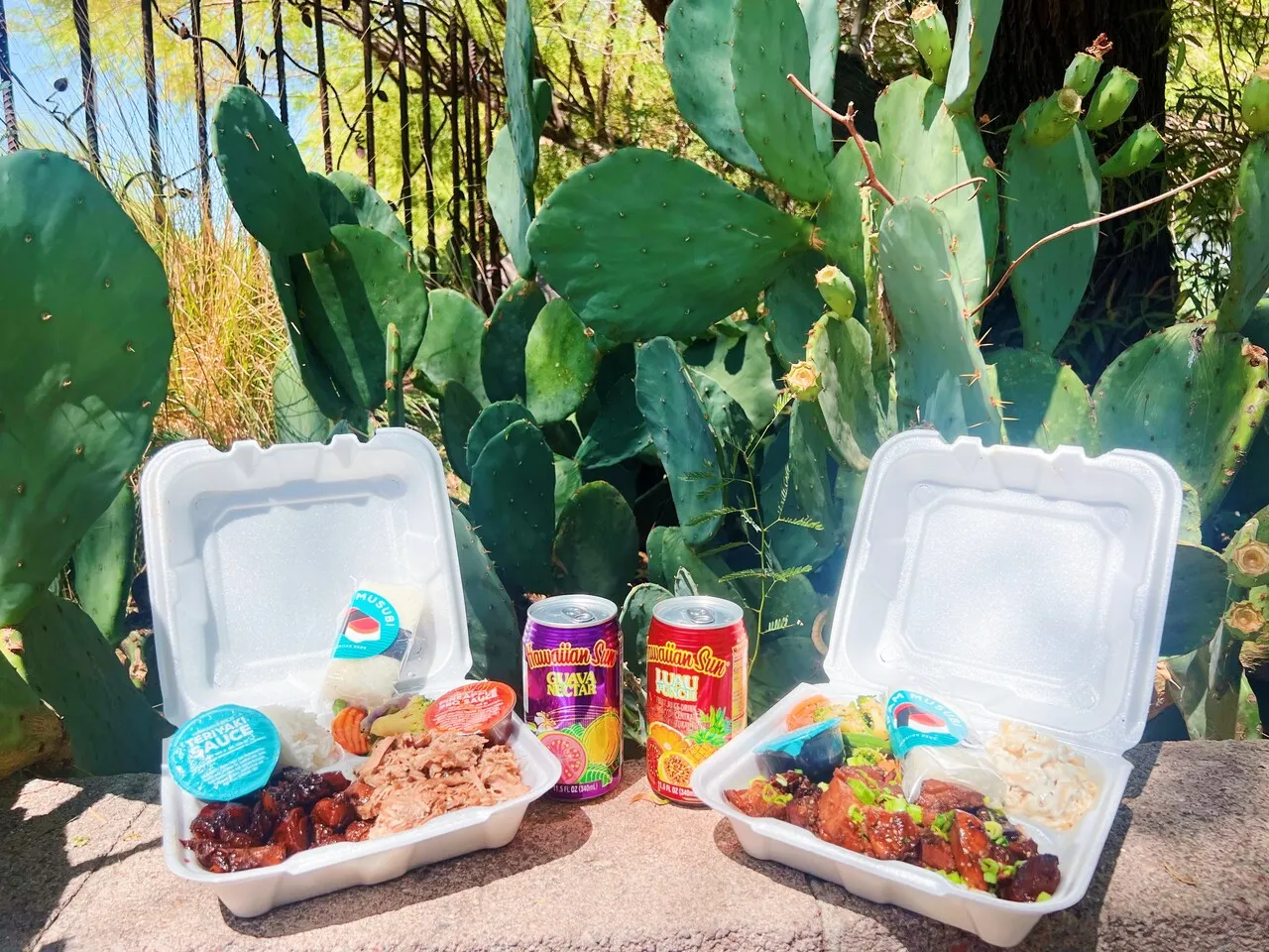 A picture of two Hawaiian Bros plates, two SPAM musubis, and two Hawaiian Sun drinks outside at a park.