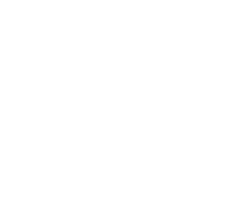 IPEE logo