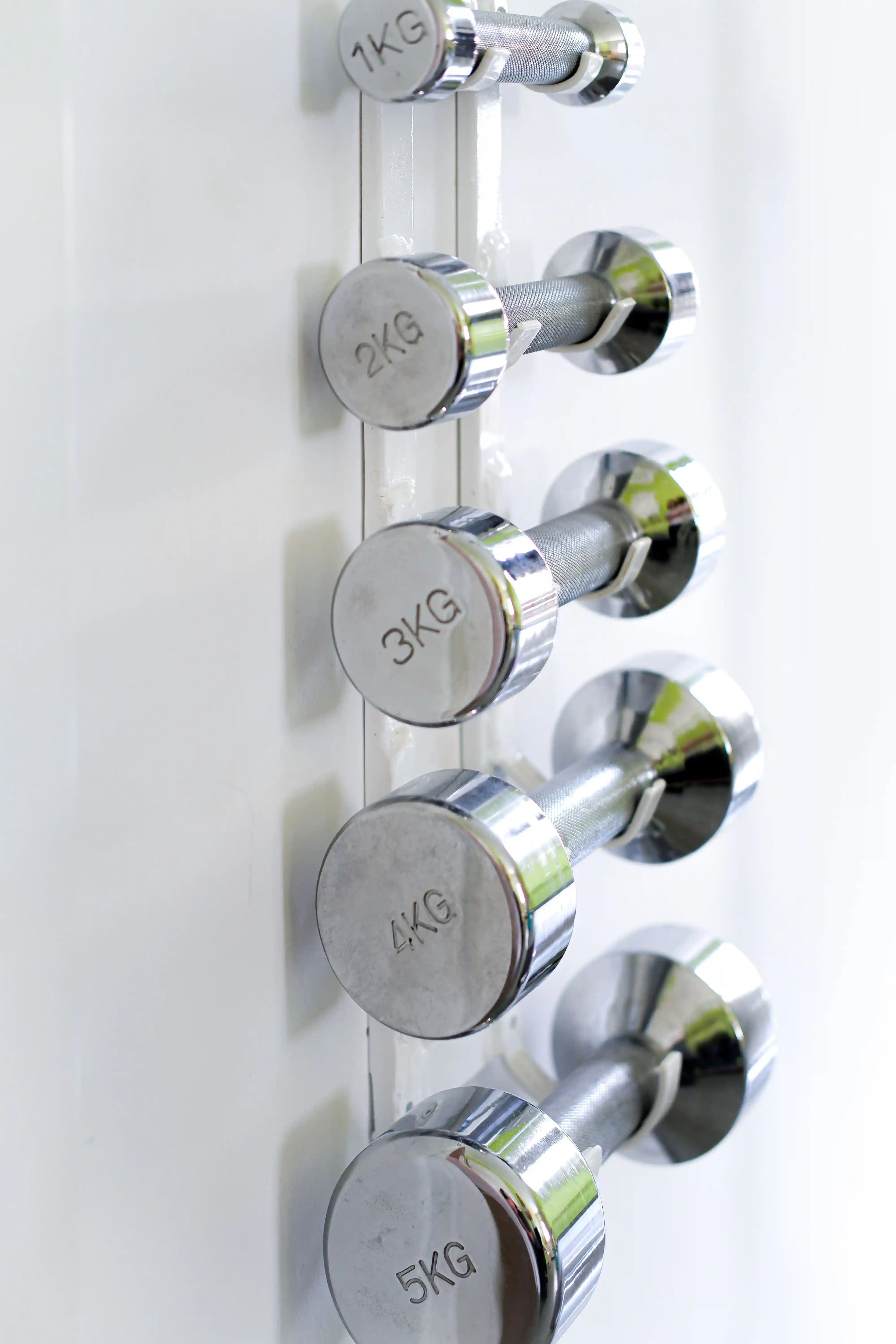 Chrom-Hanteln unterschiedlicher Gewichtsklassen an einer Wandhalterung in der Physiotherapiepraxis