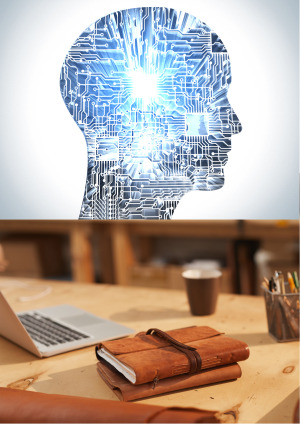 image of a person working on a computer in an office setting (for a mobility and transportation)