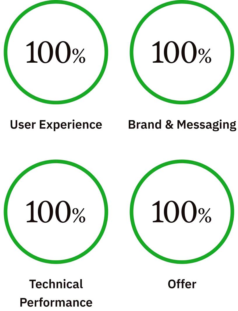 Graphic showing four green circles each containing '100%' with captions indicating different percentages of vitamin B3, vitamin B5, zinc oxide, and tocopheryl acetate present in a product.