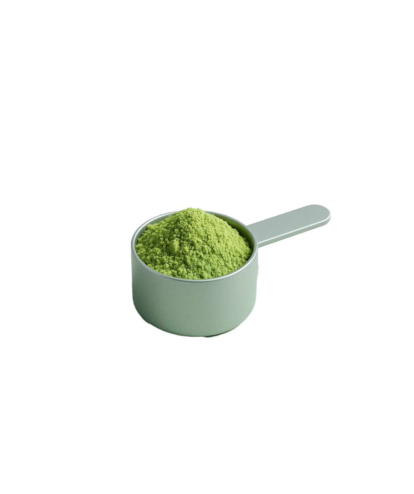 Iced Matcha Latte