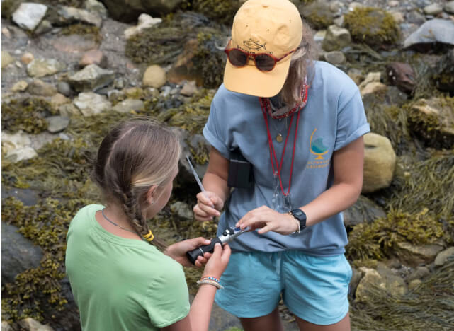 Saltwater Classroom Image
