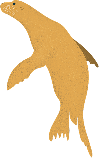 Sea Lion