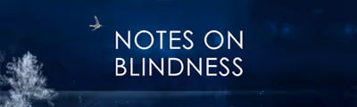 Notes on Blindness image