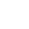 Lightning bolt icon