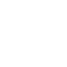 Money icon
