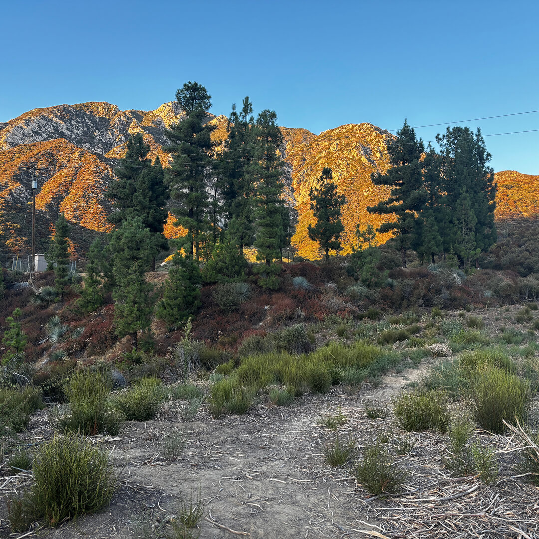 scenic image