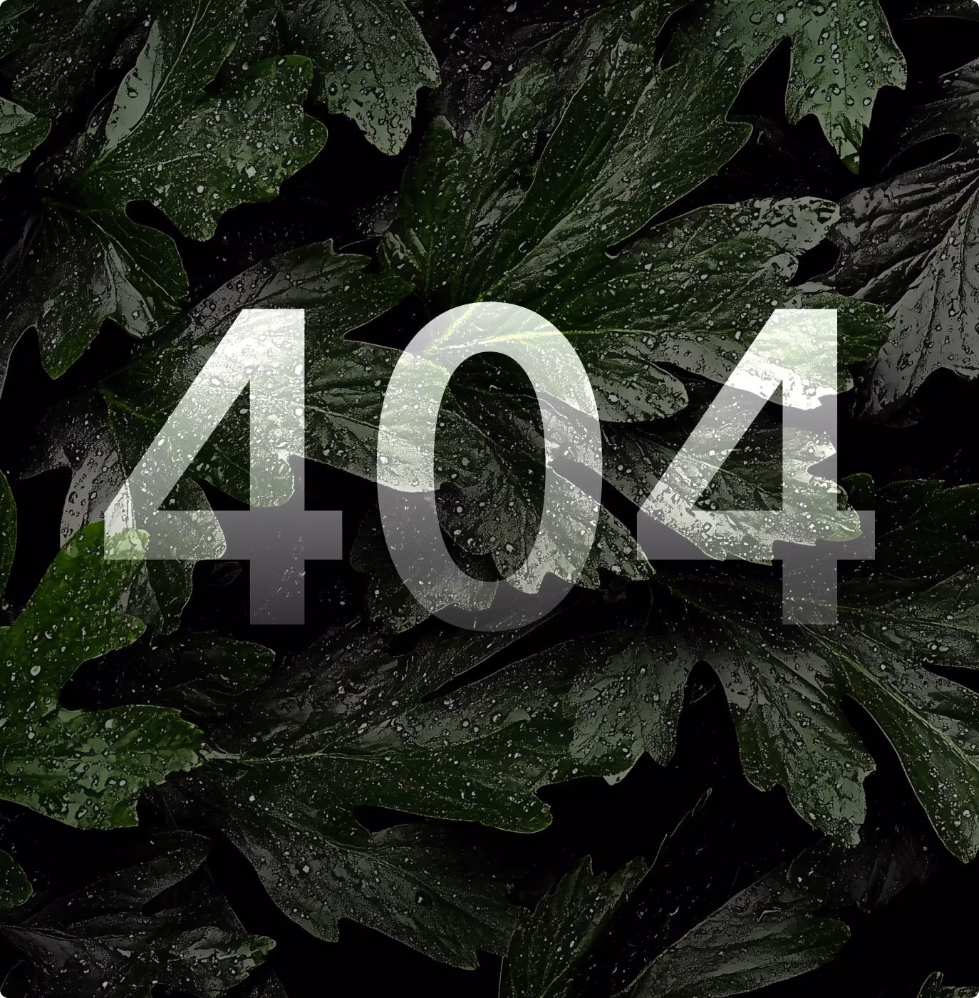 property management 404