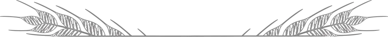 estate planning background tulsa