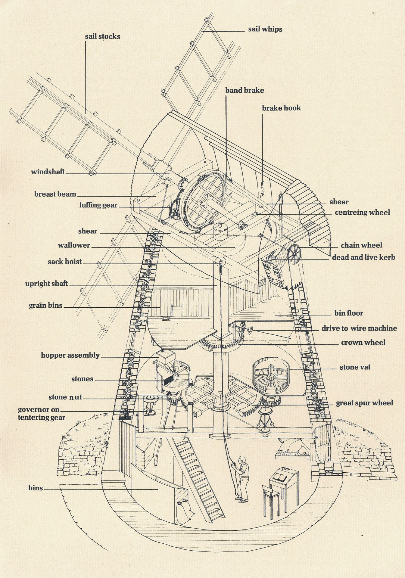 A cross section of the Bradwell Windmill revealing its inner workings.