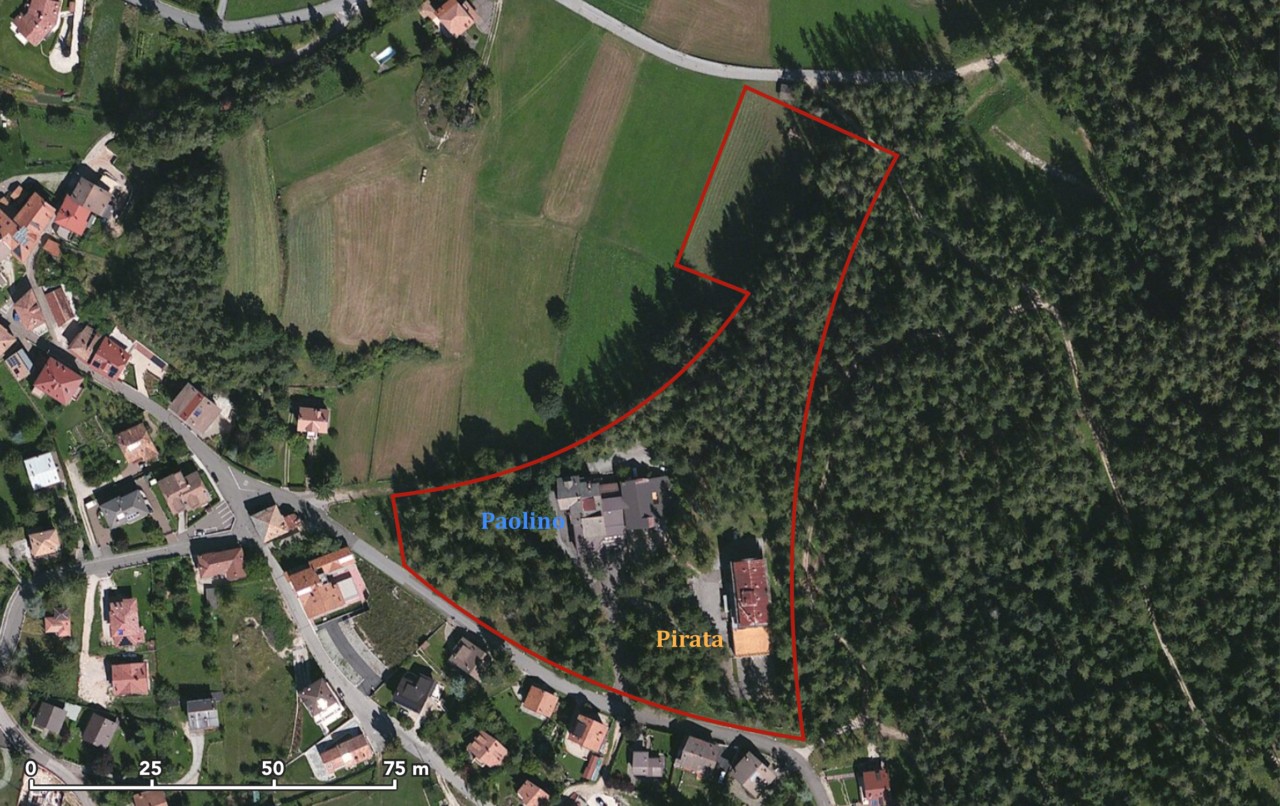 Una vista dall'alto che mostra il perimetro della proprietà, bosco incluso