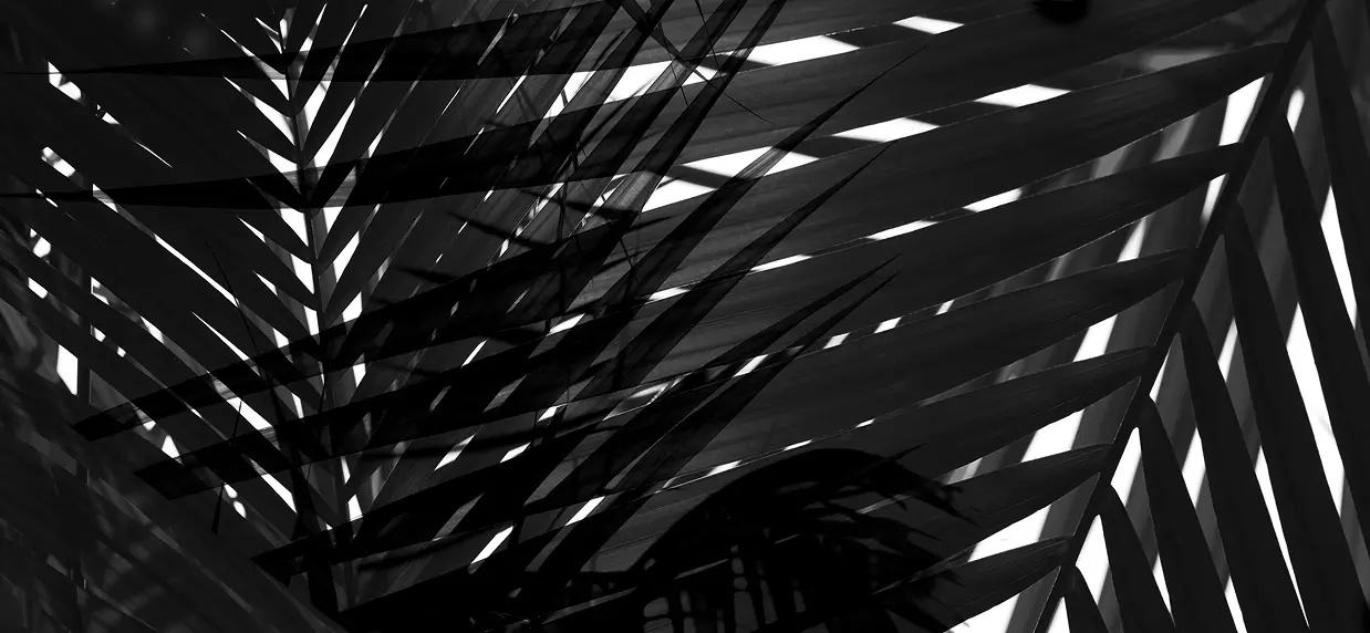 Lumina Aura Package