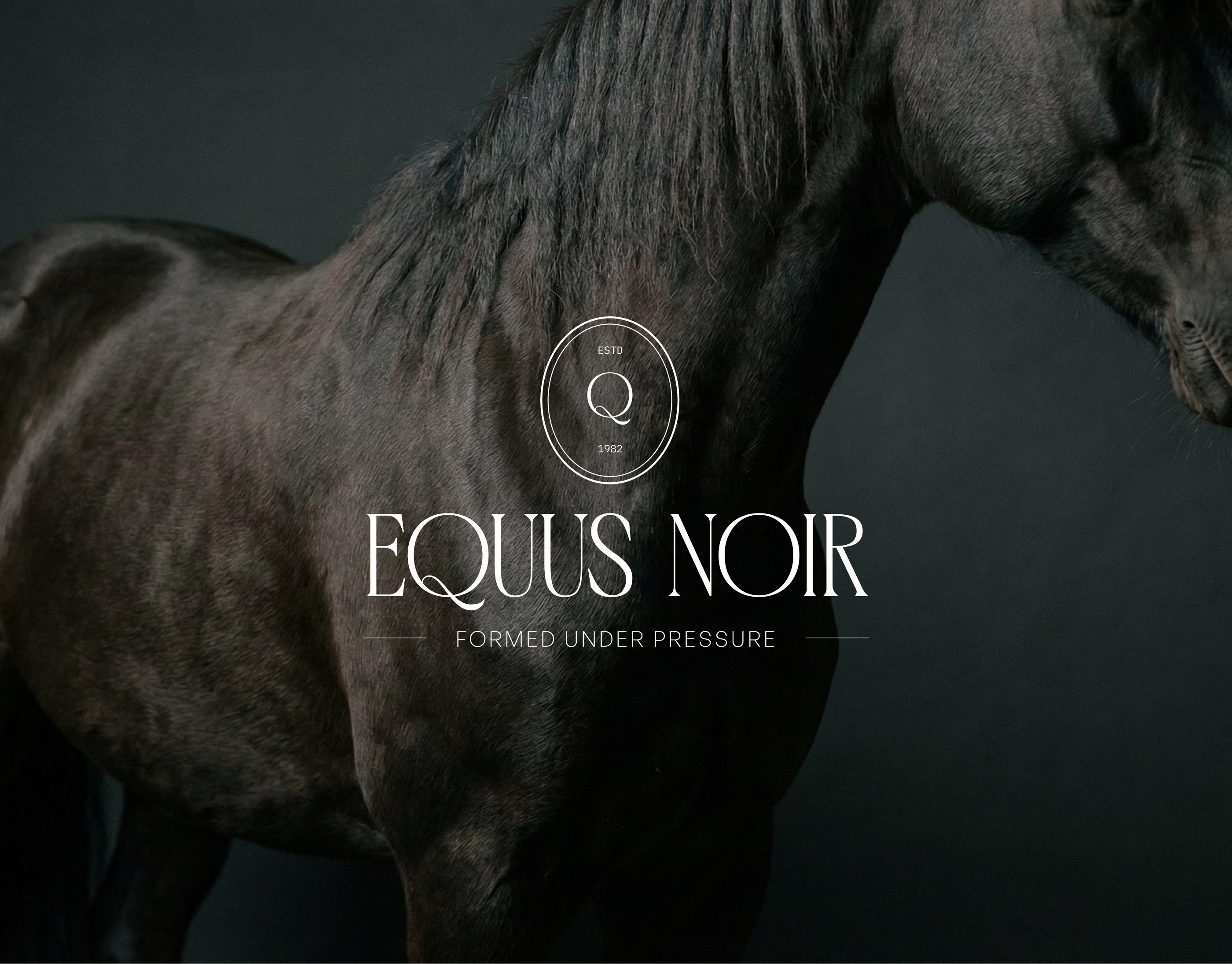 EQUUS NOIR