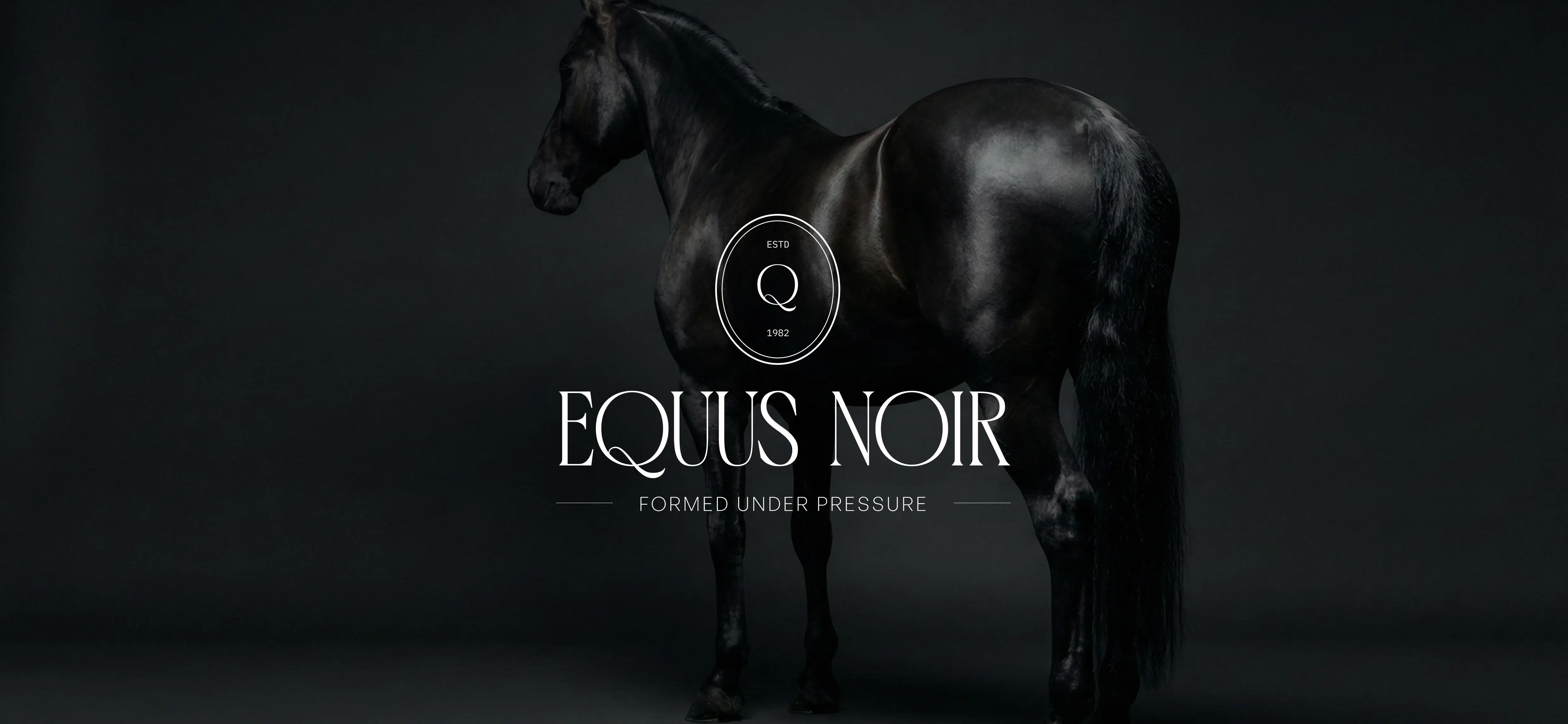 From Ornament to Object: A Strategic Luxury Branding Approach for Equus Noir