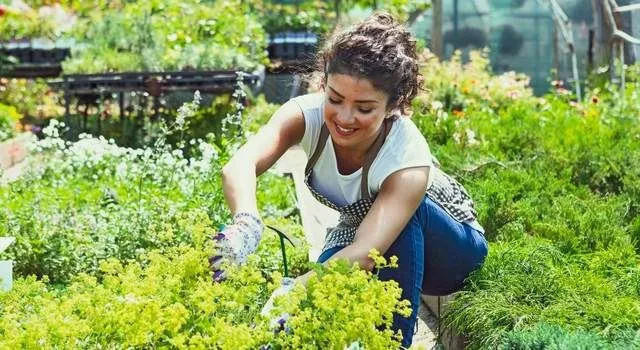 A person gardening