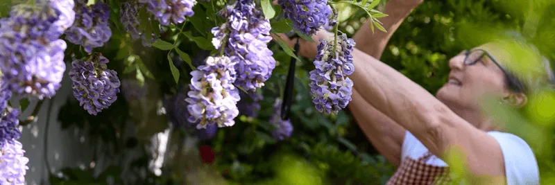 Elderly woman gardening