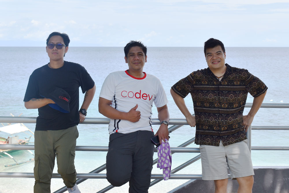 CoDev