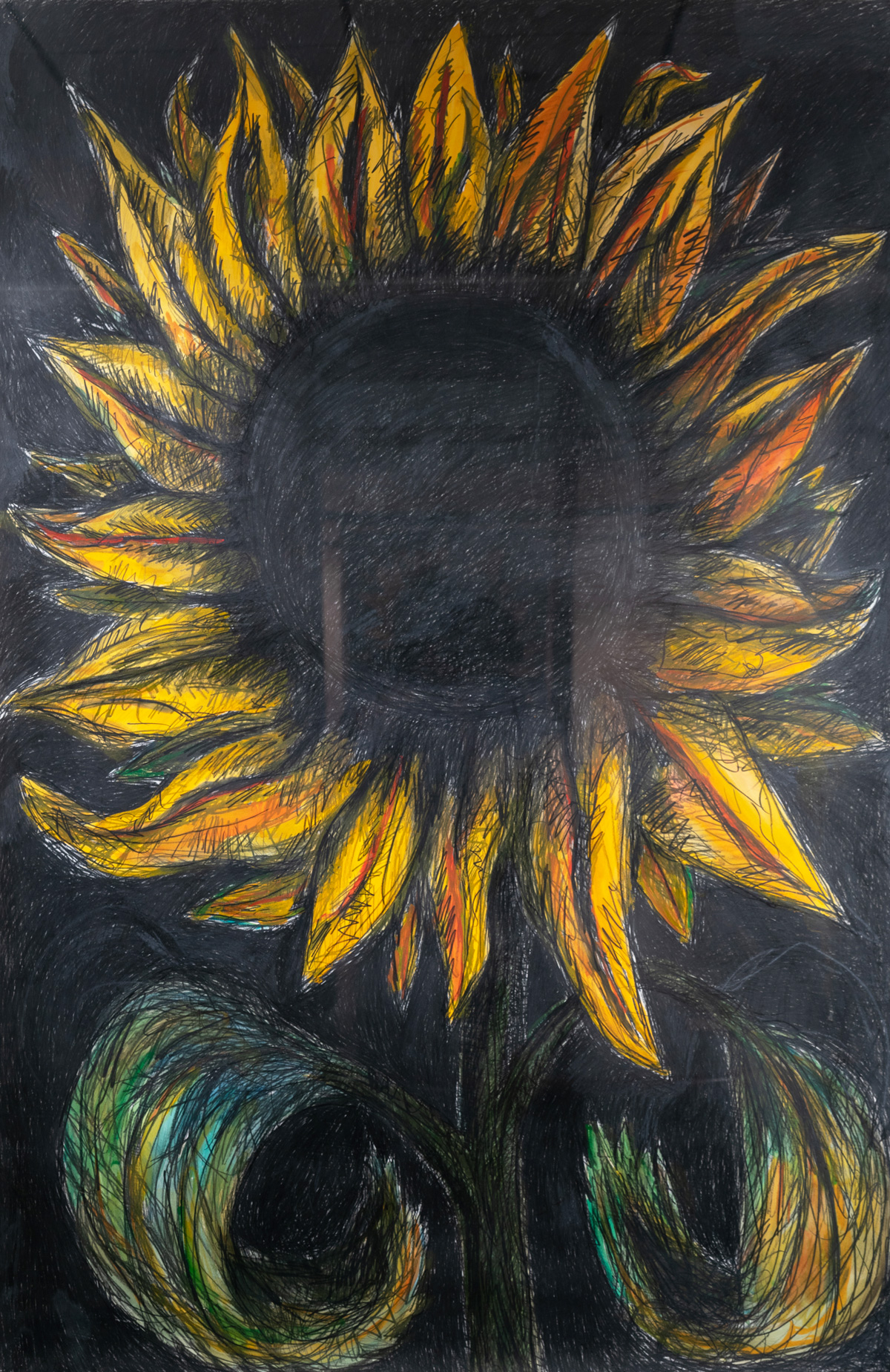 Sunflower