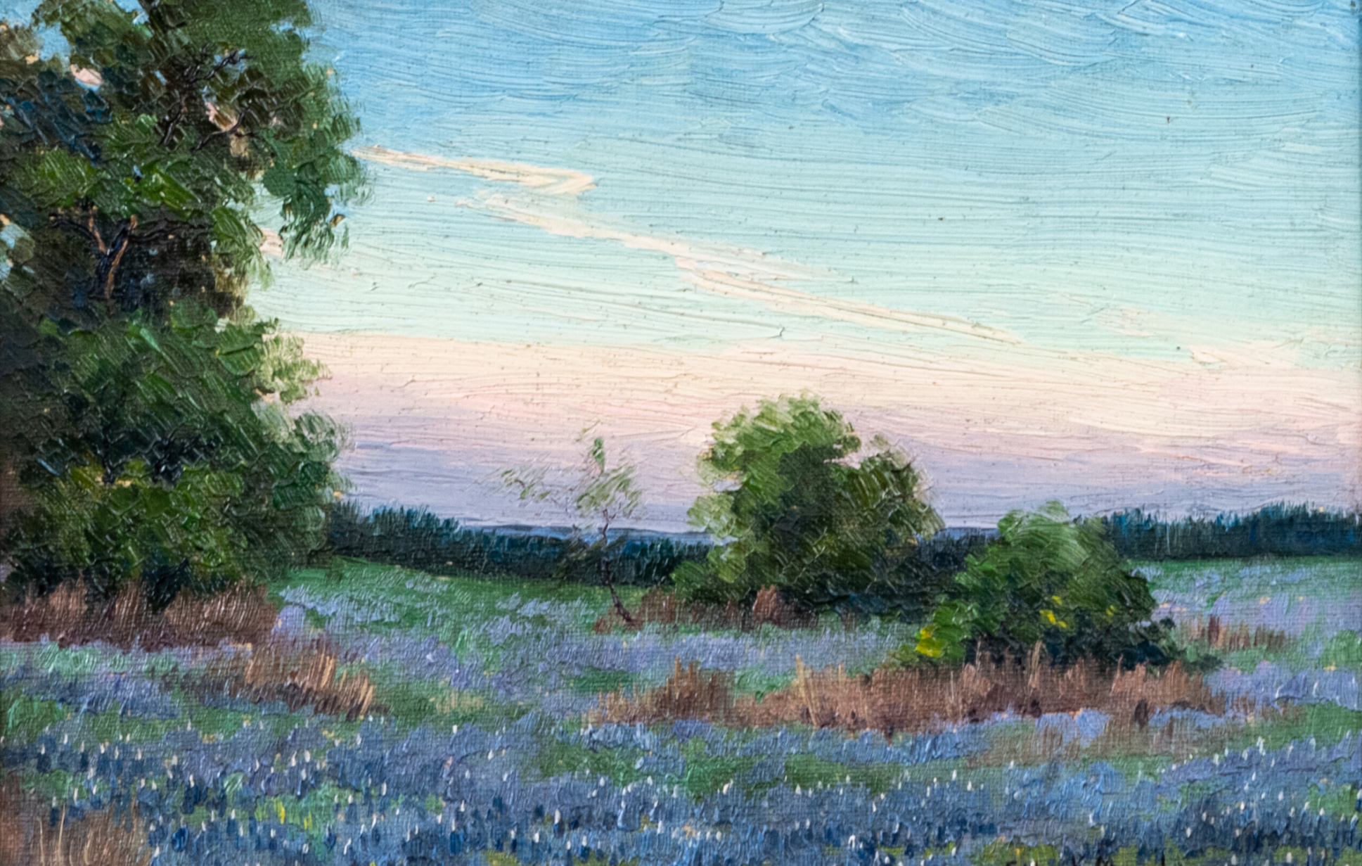 Texas Landscape