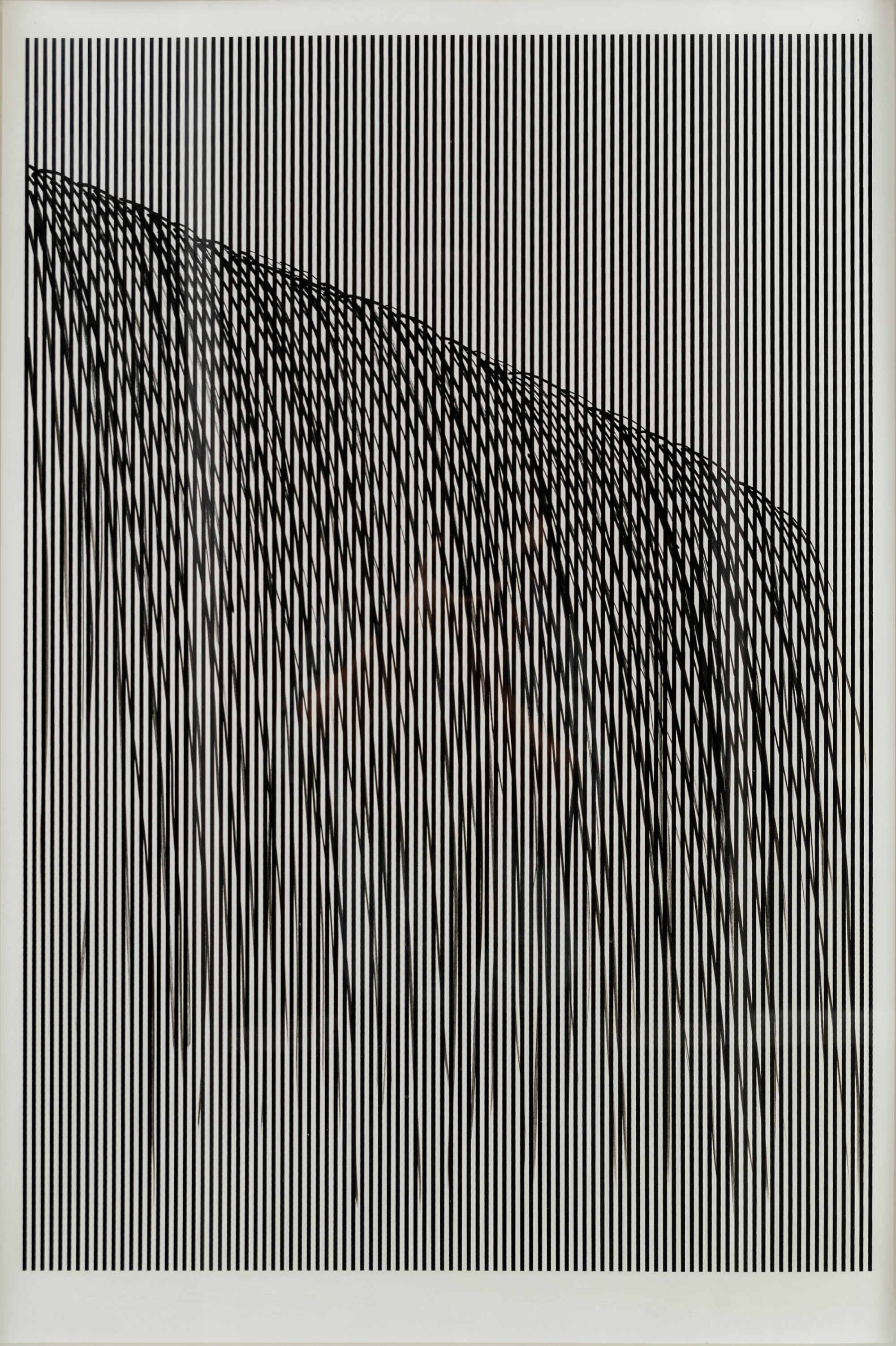 Water 2