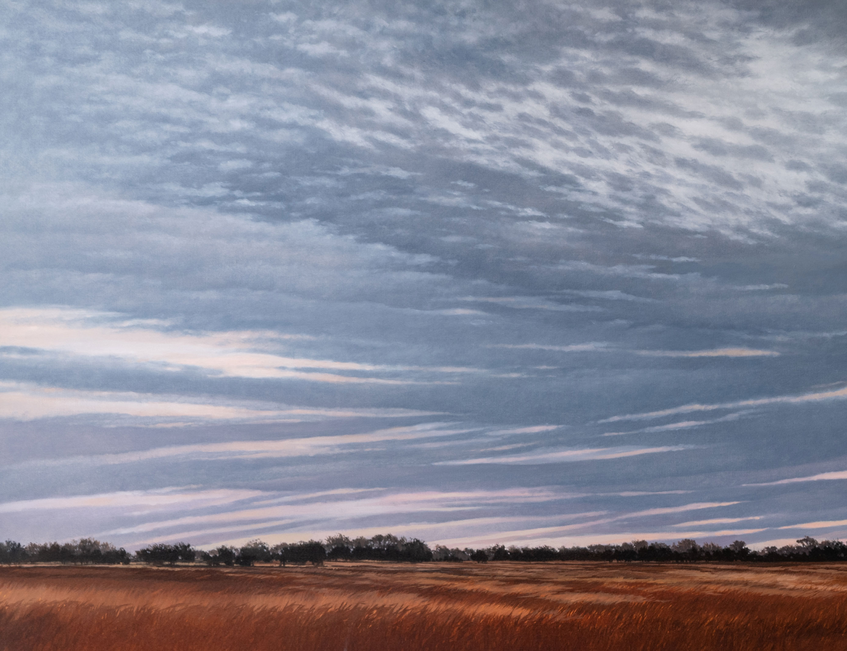 Dappled Sky Fallow Field