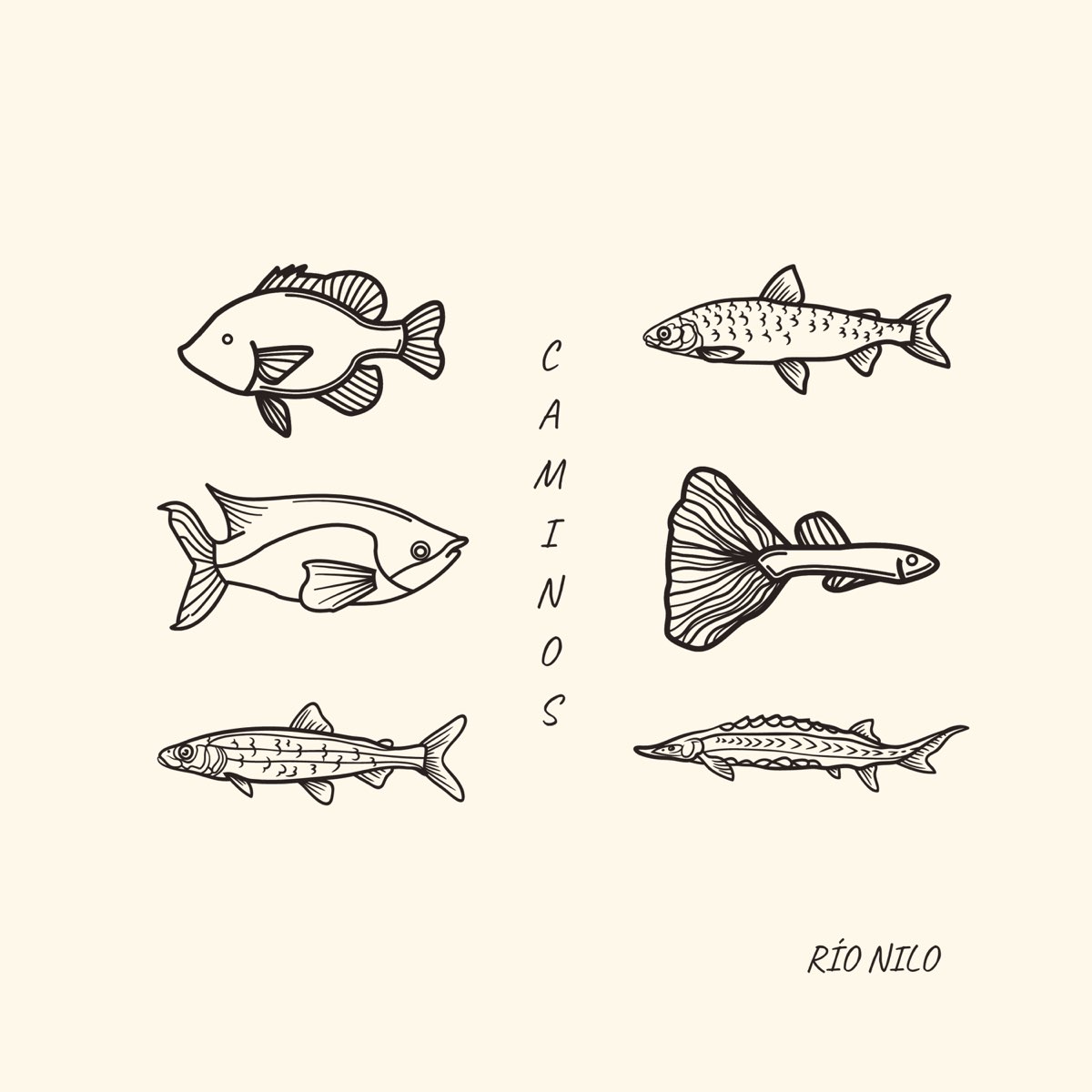RIO NILO