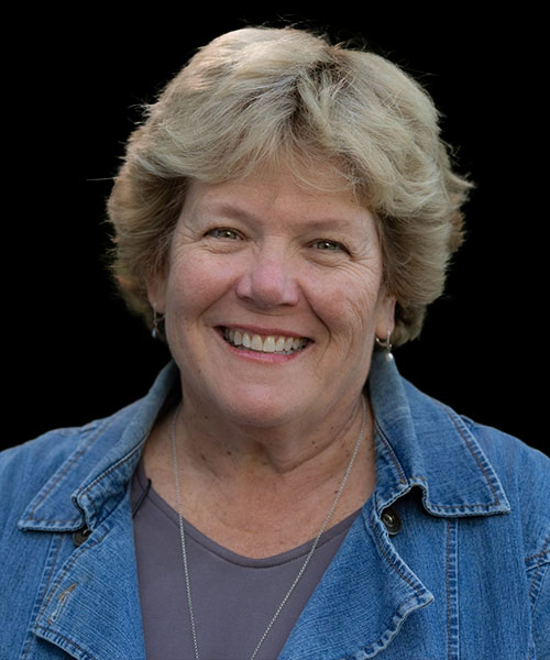 Ann Johnson Stewart