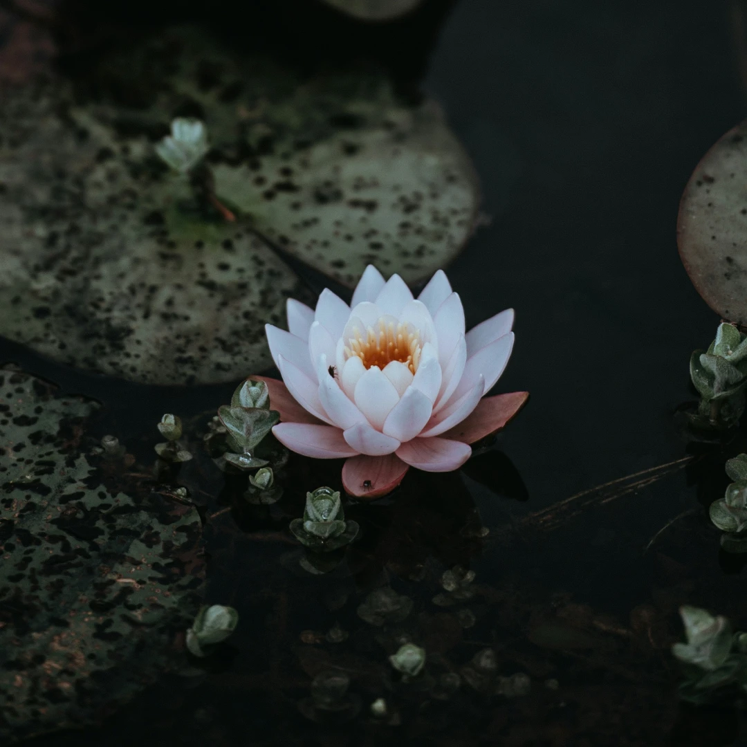 Person wearing a gold ring and bracelets writing in a lined notebook with a red pen, with ripped jeans visible.