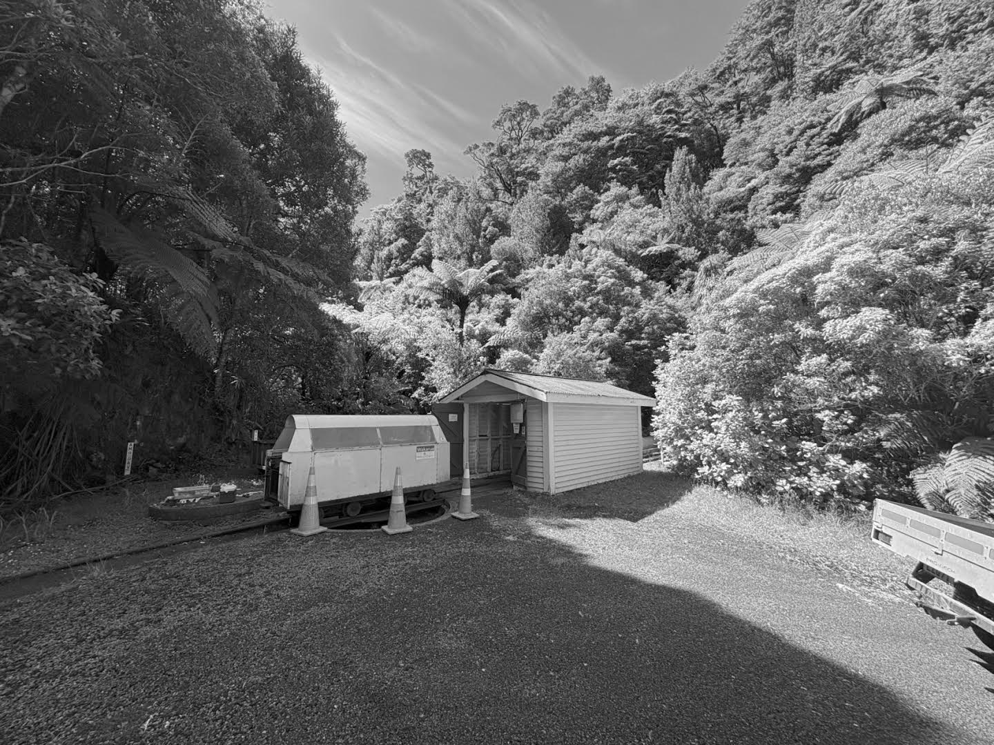 Orongorongo tunnel track