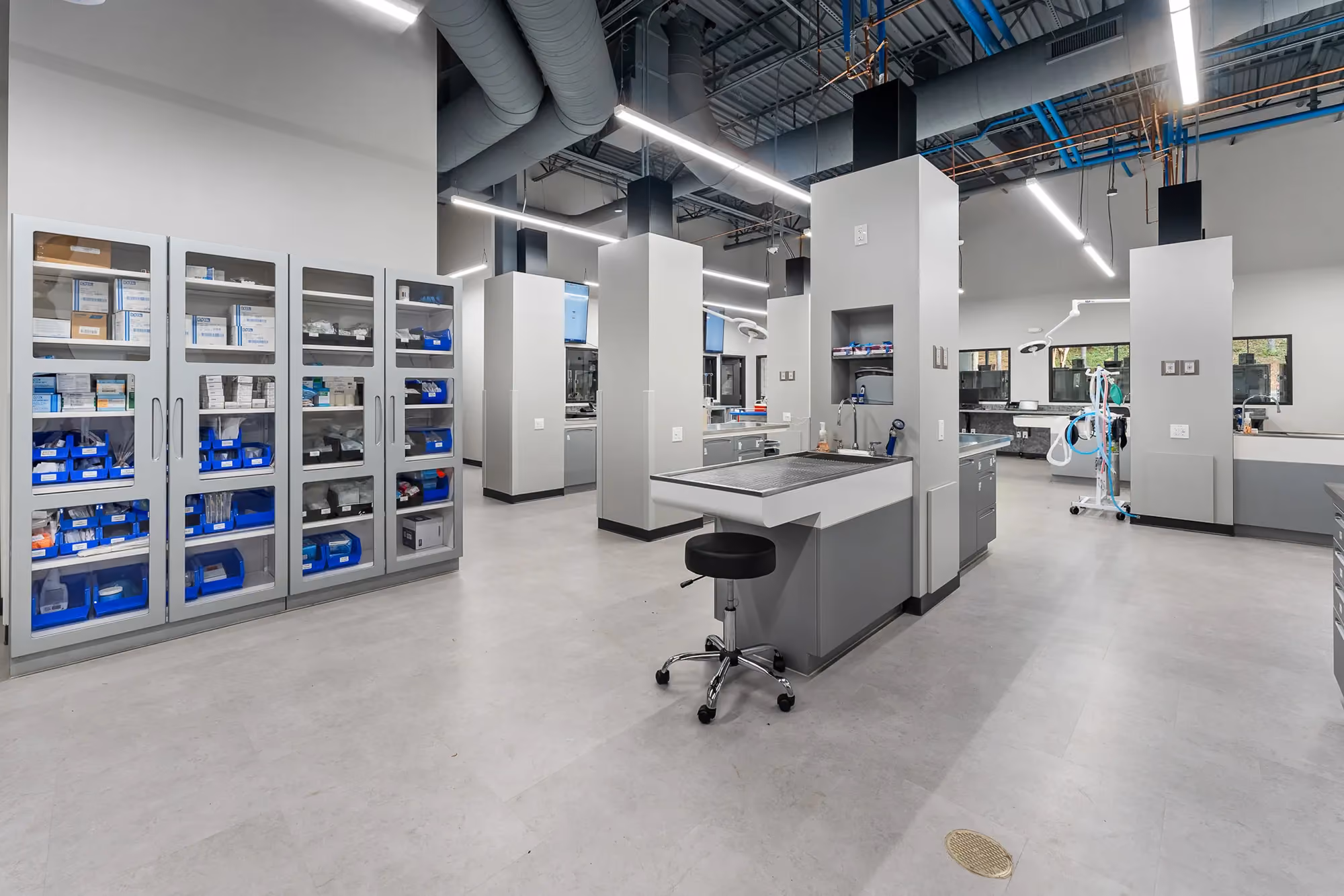 The interior design of Vet Specialists of Greater Atlanta build and designed by the Blue Frog team