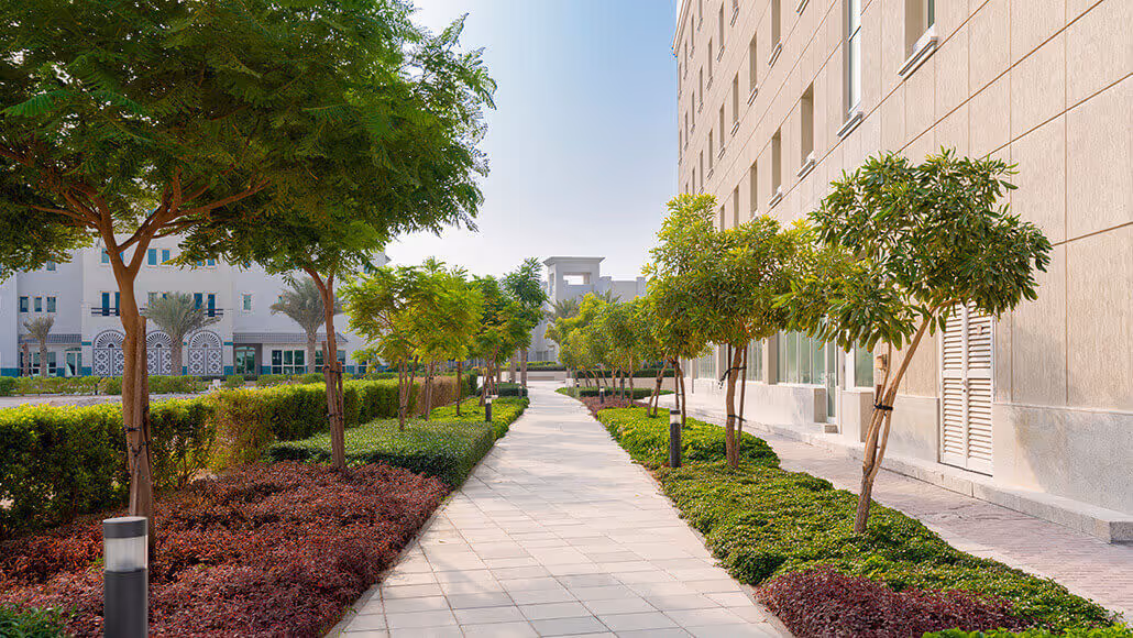 Tree-lined walkway between buildings at Dubai Knowledge Park.