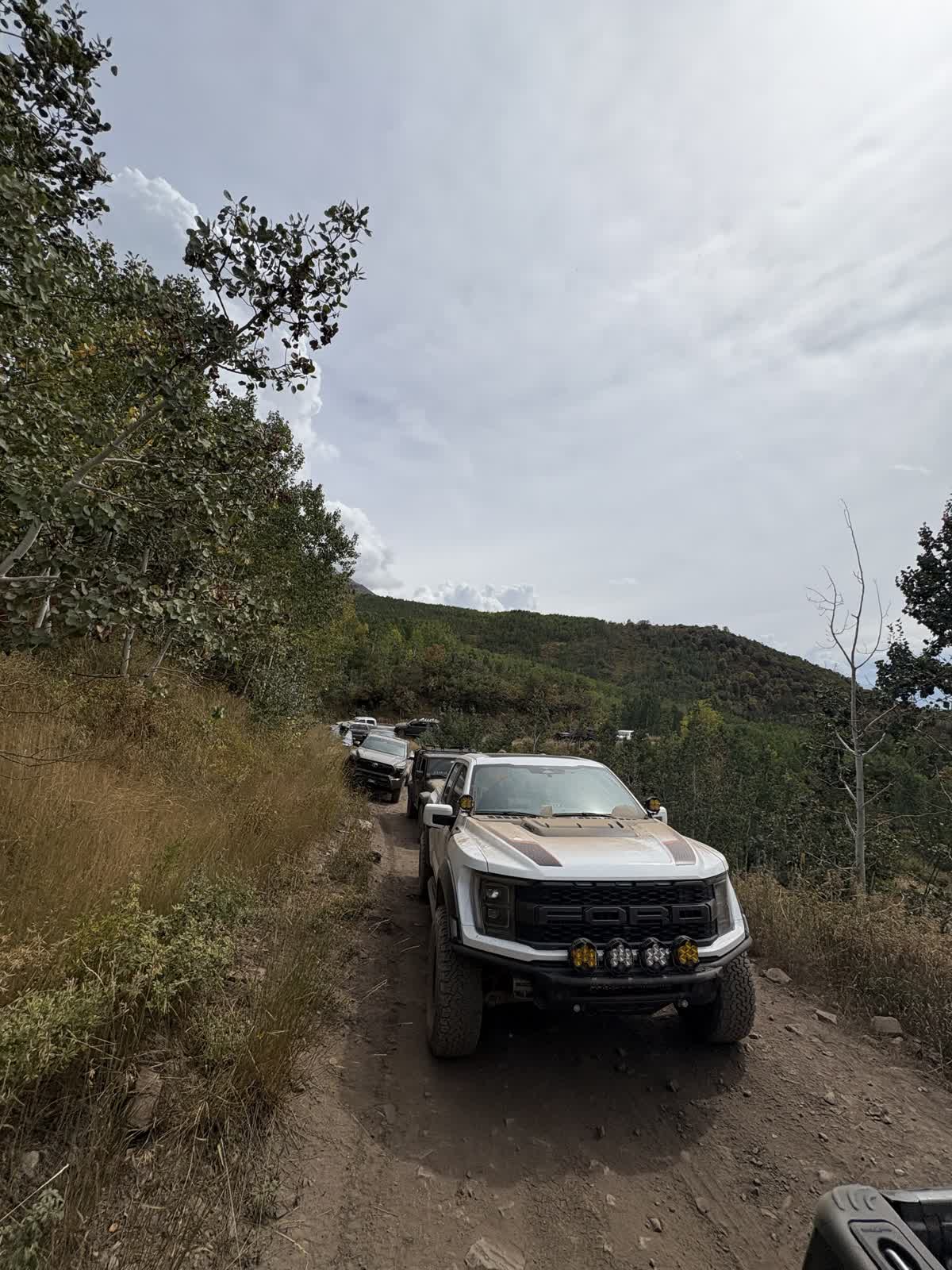 perspective of a safari vehicle in action