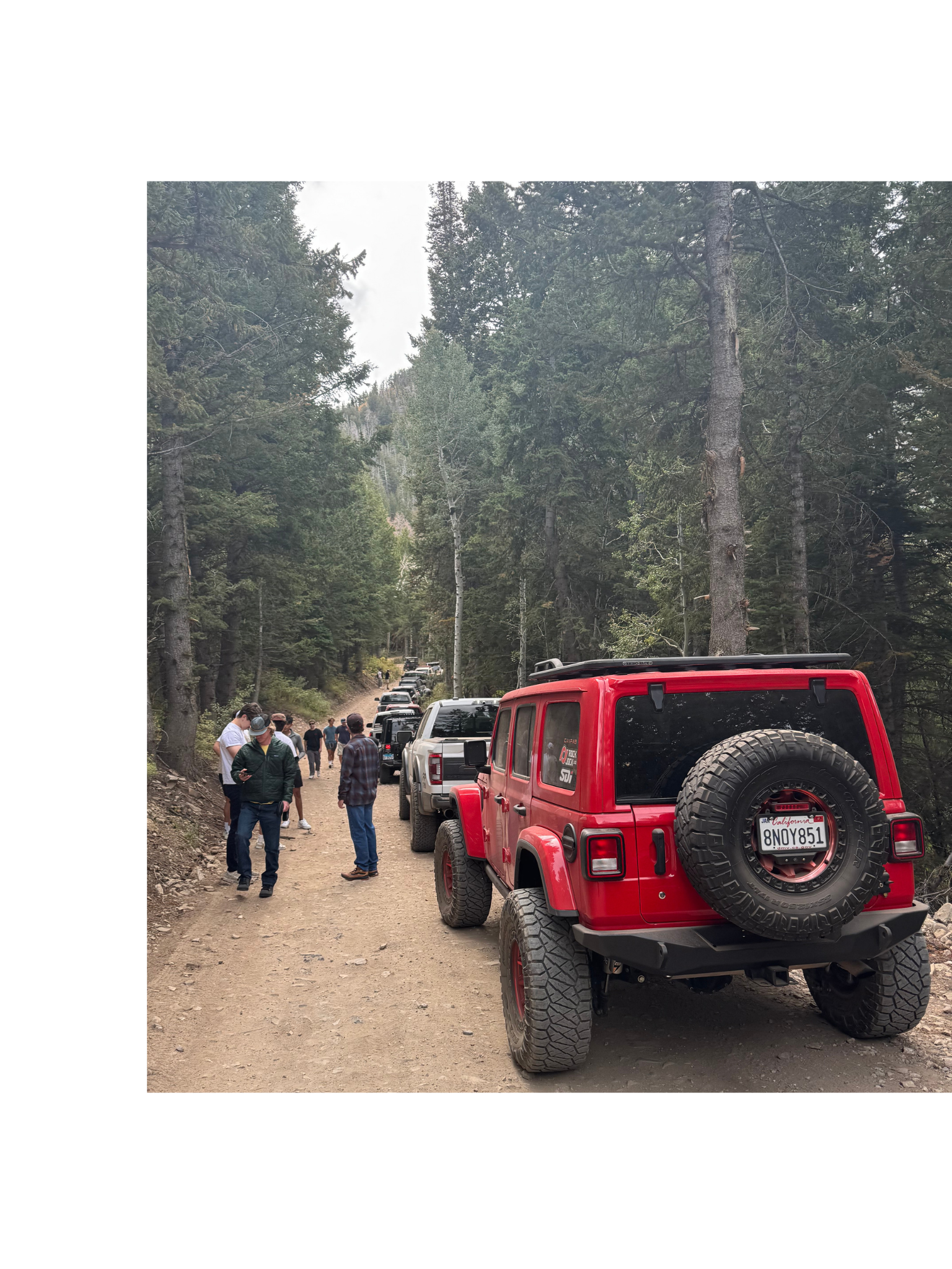 image of team working with local communities