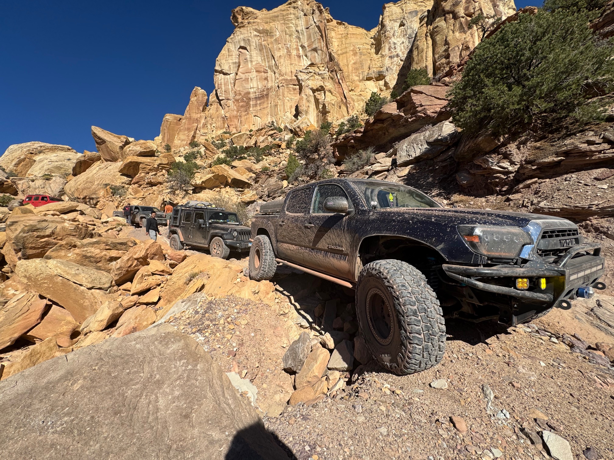 perspective of a safari vehicle in action