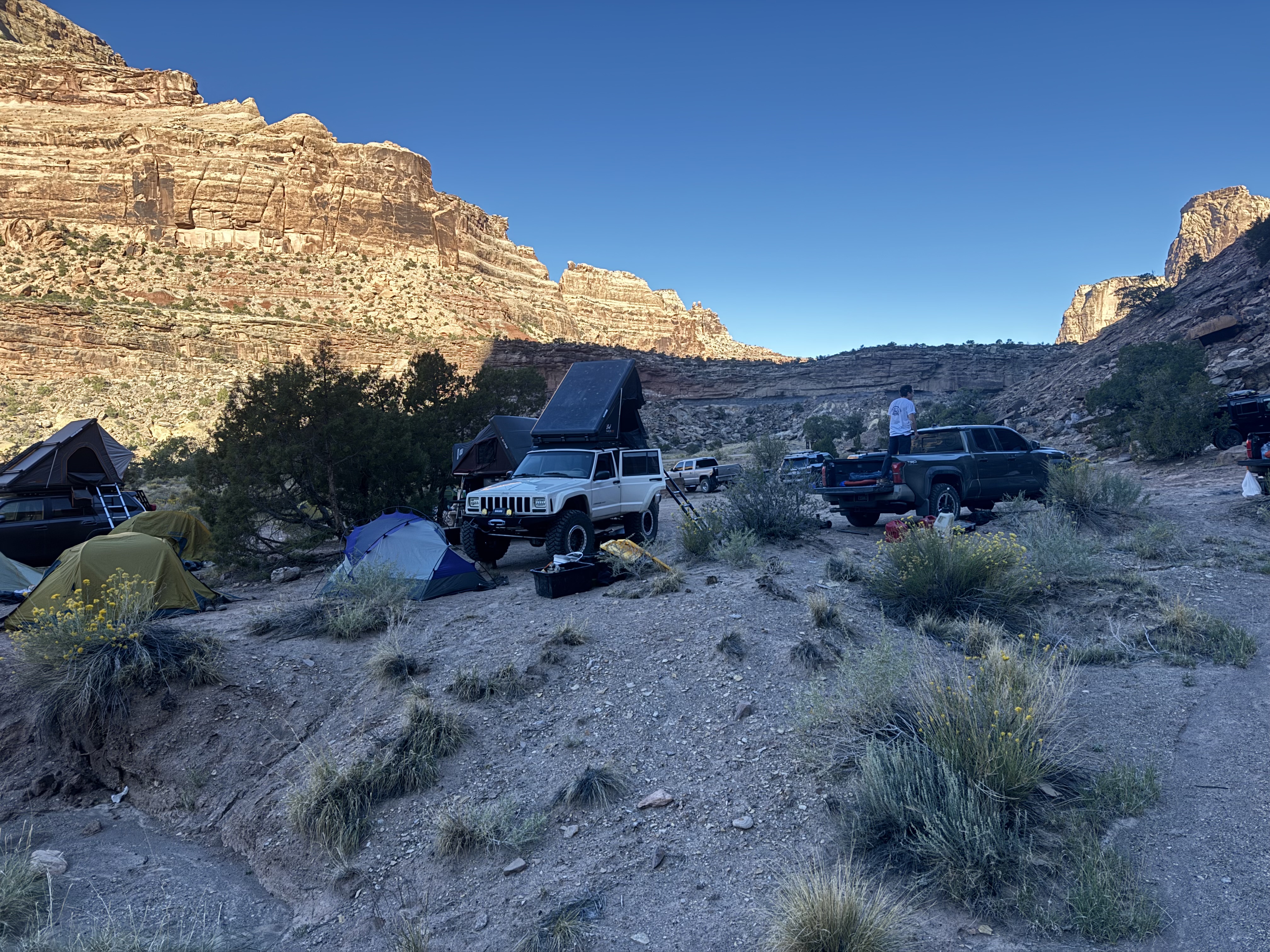 image of an open safari vehicle